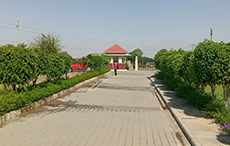 School
